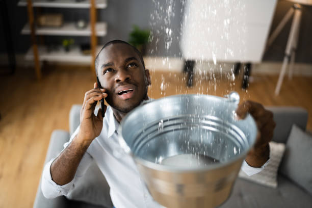 Best Mold removal after water damage  in Little Cypress, TX