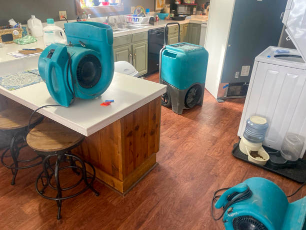 Best Sewage cleanup and water damage restoration  in Little Cypress, TX