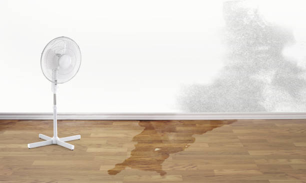 Best Commercial water damage restoration  in Little Cypress, TX