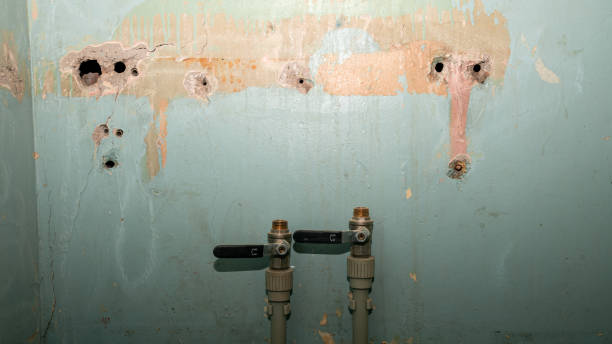 Best Water damage contractors near me  in Little Cypress, TX