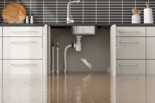 Best Water damage restoration near me  in Little Cypress, TX