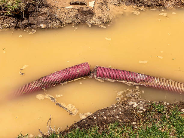 Best Water damage restoration near me  in Little Cypress, TX