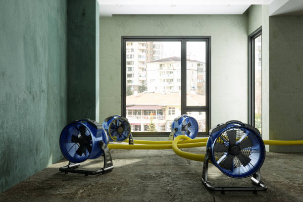 Local water damage restoration in Little Cypress, TX